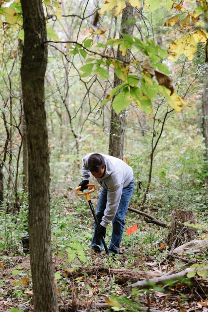 A young man in the woods is preparing a tree-planting site by digging a hole with a shovel.
