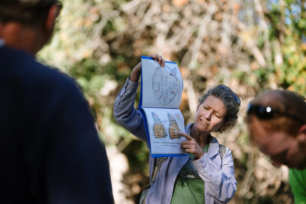 An educational diagram on Monarch butterflies is being presented to a group of people.