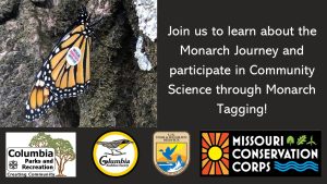Graphic of a Monarch butterfly with a sticker tag on its wing. The text reads: Join us to learn about the Monarch Journey and participate in Community Science through Monarch Tagging!
