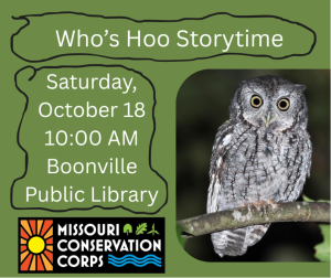 Graphic with an owl describing "Who's Hoo Storytime"