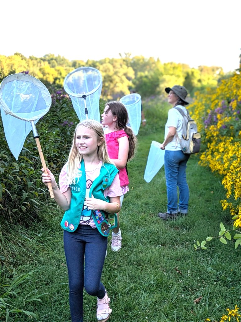 Girl Scouts with butterfly nets walk the prairie, looking for Monarch butterflies to catch