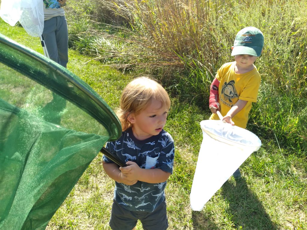 Two young children with butterfly nets excitedly practice catching insects.