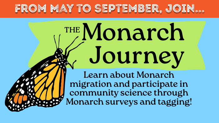 Visit this link to learn more about The Monarch Journey, an educational program about the Monarch butterfly life cycle.