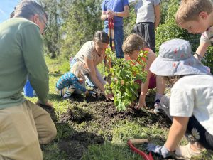 Adults and children are outside, kneeling on the ground as they pack soil into a newly planted tree.